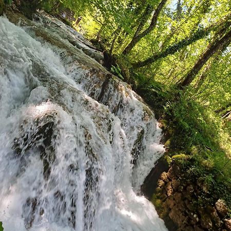 Villa Dobra Plitvička Jezera المظهر الخارجي الصورة